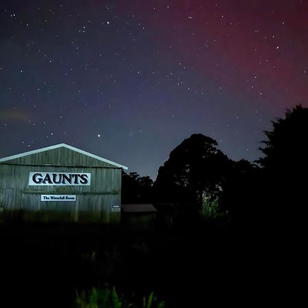 Buttons Cottage Under The Milky Way Nietta Exterior photo